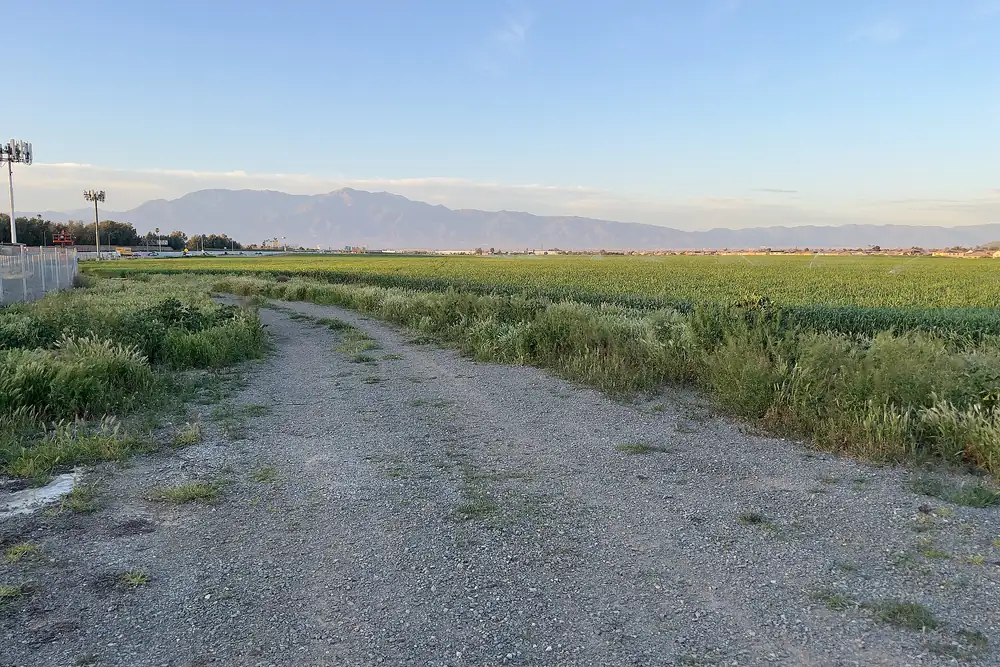 A gravel track running beside a green agricultural field in Jurupa Valley California, with mountains on the horizon